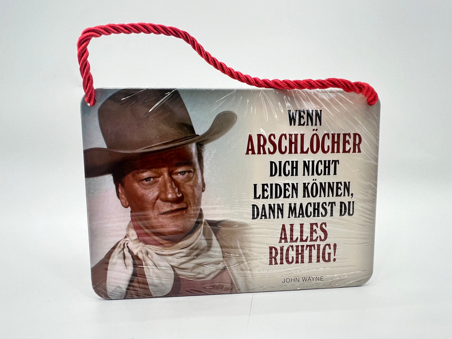 Hängeschild "Wenn Arschlöcher dich nicht leiden können, ...."